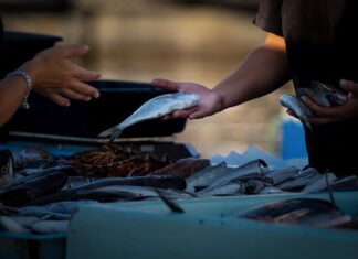 Jak zacząć sprzedawać w internecie?