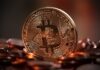 Ile osób posiada 1 Bitcoin? Ile osób posiada 1 Bitcoin?