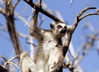 Co to są zachowania prozdrowotne? Co to są zachowania prozdrowotne?