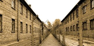Dlaczego Tadek trafił do Auschwitz?