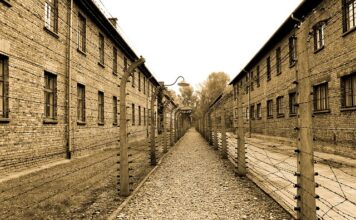 Dlaczego Tadek trafił do Auschwitz? Dlaczego Tadek trafił do Auschwitz?