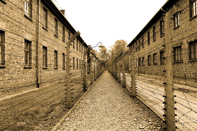 Dlaczego Tadek trafił do Auschwitz?