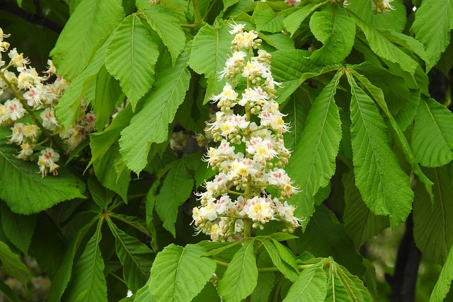 Do jakich zawodów nie trzeba mieć matury? Do jakich zawodów nie trzeba mieć matury?