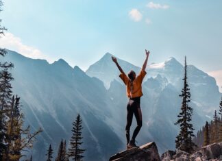 Co to jest program nauczania? Co to jest program nauczania?