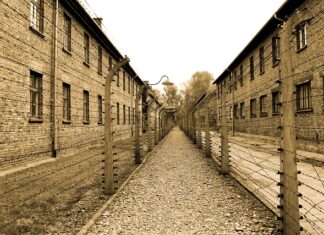 Ile kalorii jedli w Auschwitz? Ile kalorii jedli w Auschwitz?