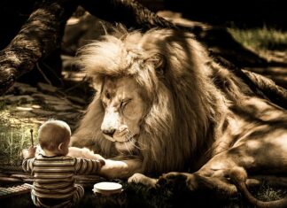 Jak przestać się denerwować i zacząć żyć? Jak przestać się denerwować i zacząć żyć?