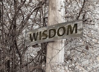 Czy można mieć dwa stypendia? Czy można mieć dwa stypendia?