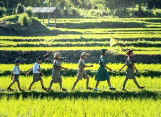 Kto płaci za biegłego w sądzie? Kto płaci za biegłego w sądzie?