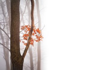 Dlaczego myślę negatywnie? Dlaczego myślę negatywnie?