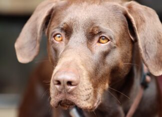 Gdzie pracodawcy szukają pracowników?