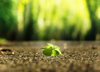 Jak znaleźć chęć do życia? Jak znaleźć chęć do życia?