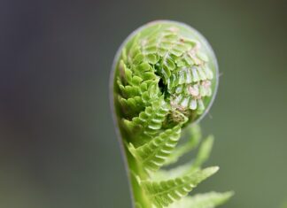 Ile osób kończy studia w Polsce? Ile osób kończy studia w Polsce?