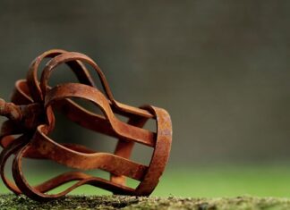 Czy w dniu obrony traci się status studenta?