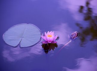 Ile wynosi wynagrodzenie za staż 2023 na rękę? Ile wynosi wynagrodzenie za staż 2023 na rękę?