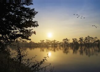 Czy PIP może ukarać pracodawcę?